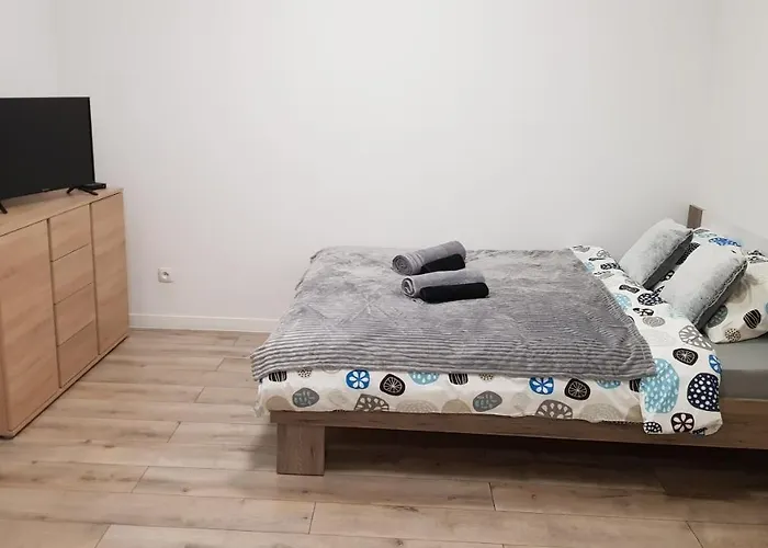 Fibra Frappe * リブニク