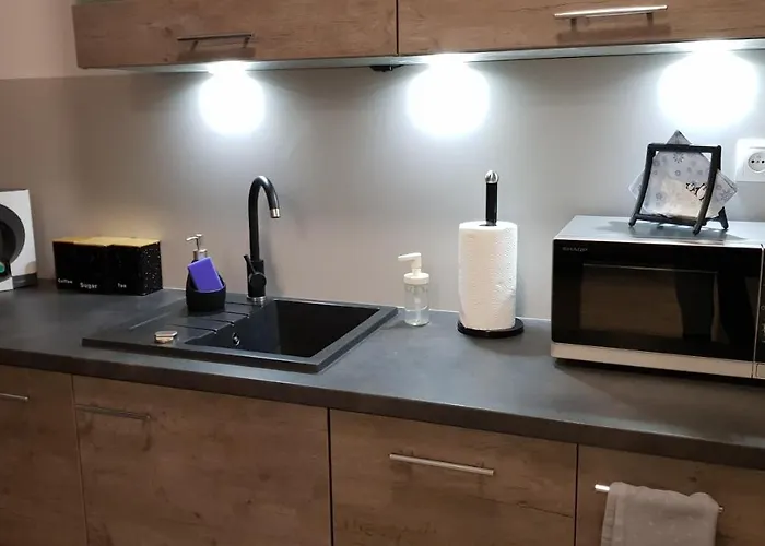 Fibra Frappe アパート *