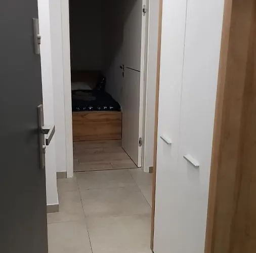 Fibra Frappe ריבניק